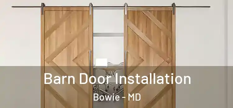  Barn Door Installation Bowie - MD
