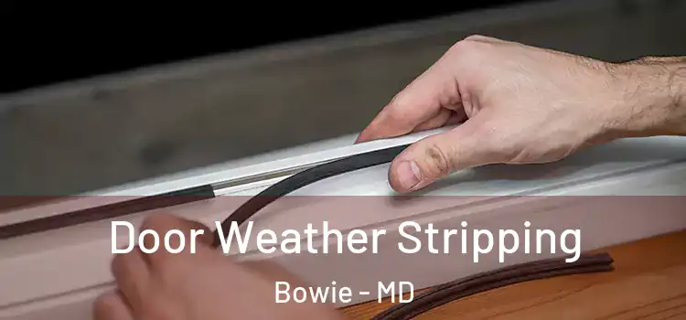  Door Weather Stripping Bowie - MD
