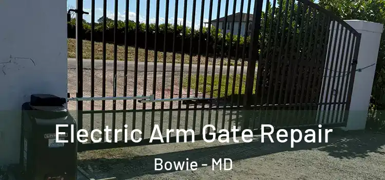 Electric Arm Gate Repair Bowie - MD