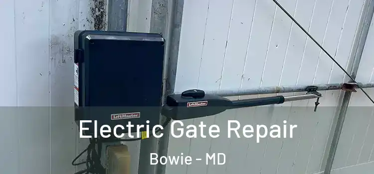  Electric Gate Repair Bowie - MD