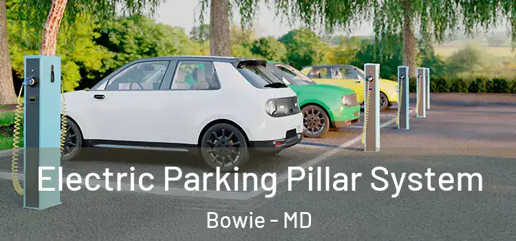  Electric Parking Pillar System Bowie - MD