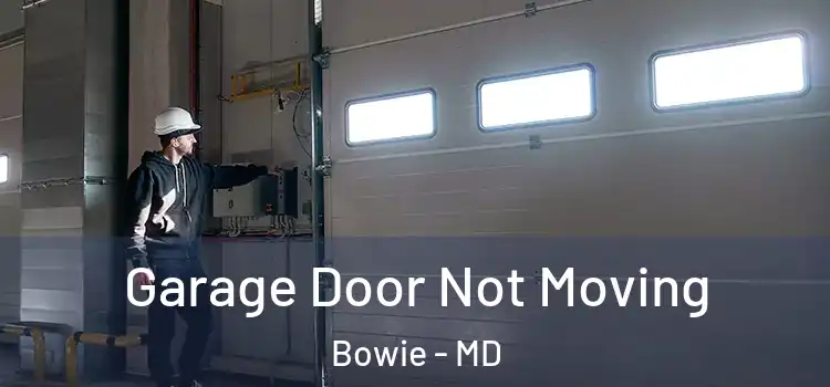 Garage Door Not Moving Bowie - MD