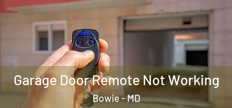  Garage Door Remote Not Working Bowie - MD