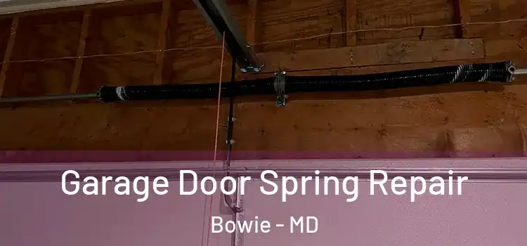 Garage Door Spring Repair Bowie - MD