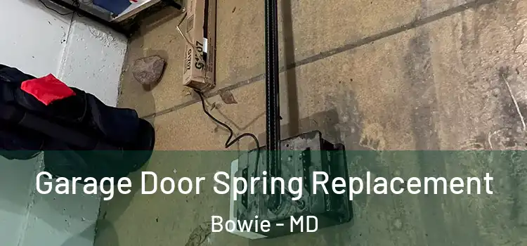  Garage Door Spring Replacement Bowie - MD