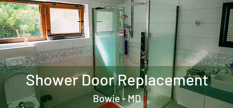 Shower Door Replacement Bowie - MD