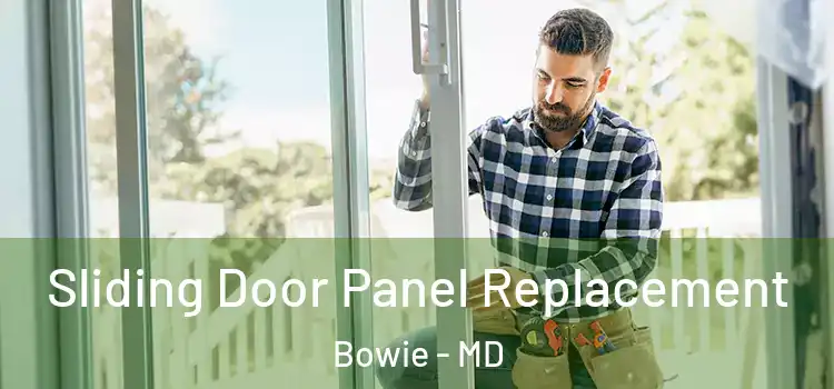  Sliding Door Panel Replacement Bowie - MD